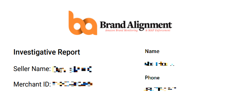 Brand Alignment Investigation Report