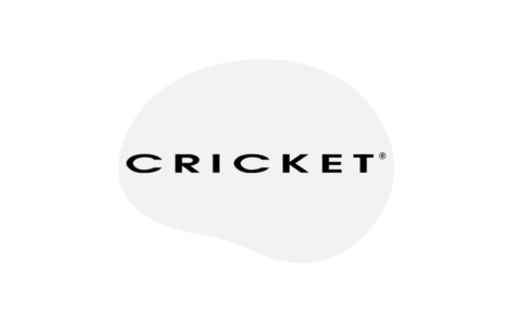 cricket case study Thumbnail