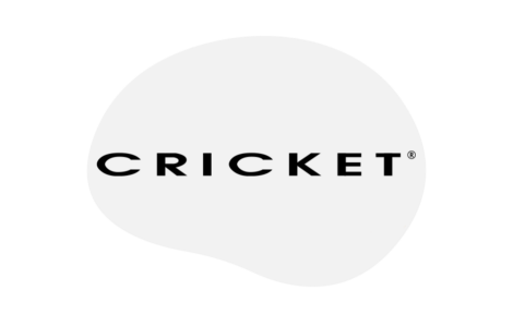 cricket case study Thumbnail